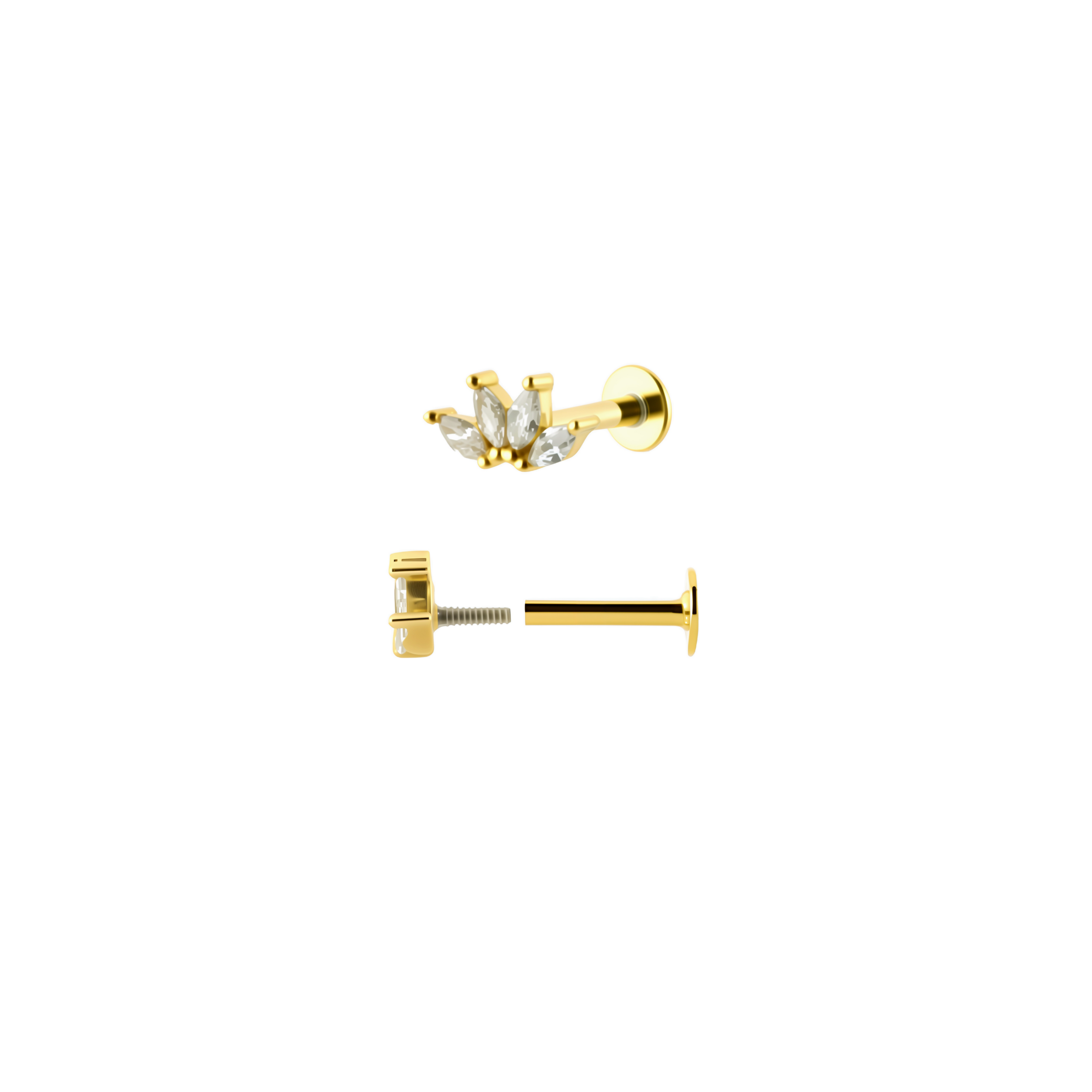 Petra Piercing | VORBESTELLUNG