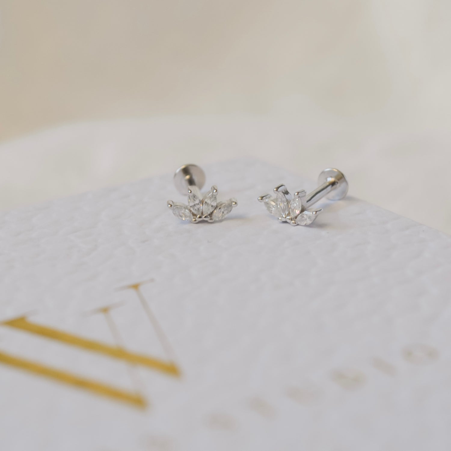 Petra Piercing | VORBESTELLUNG