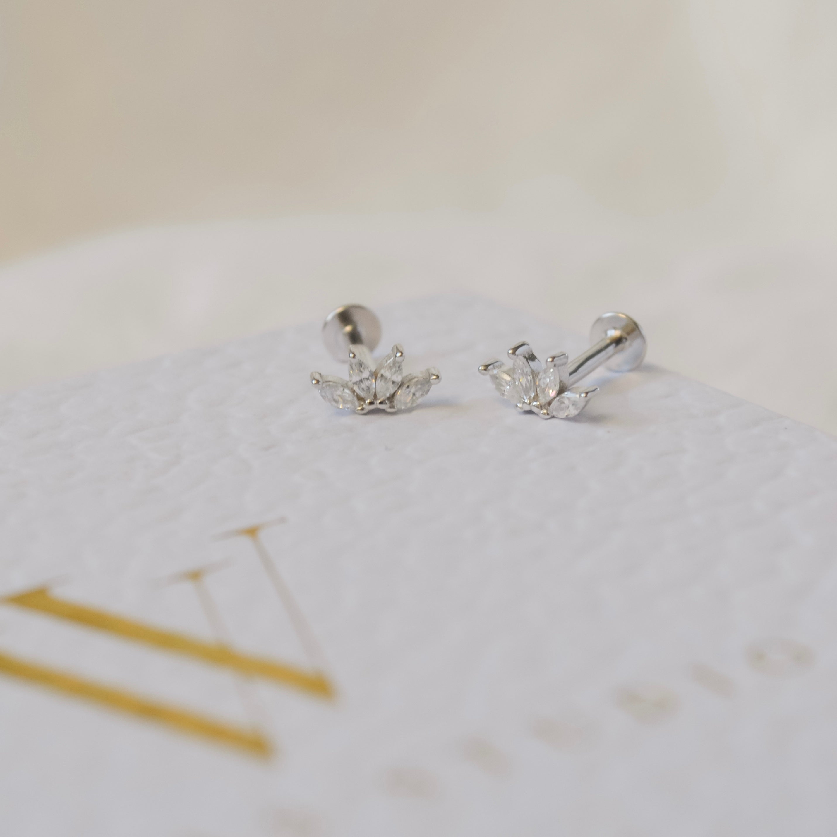 Petra Piercing | VORBESTELLUNG