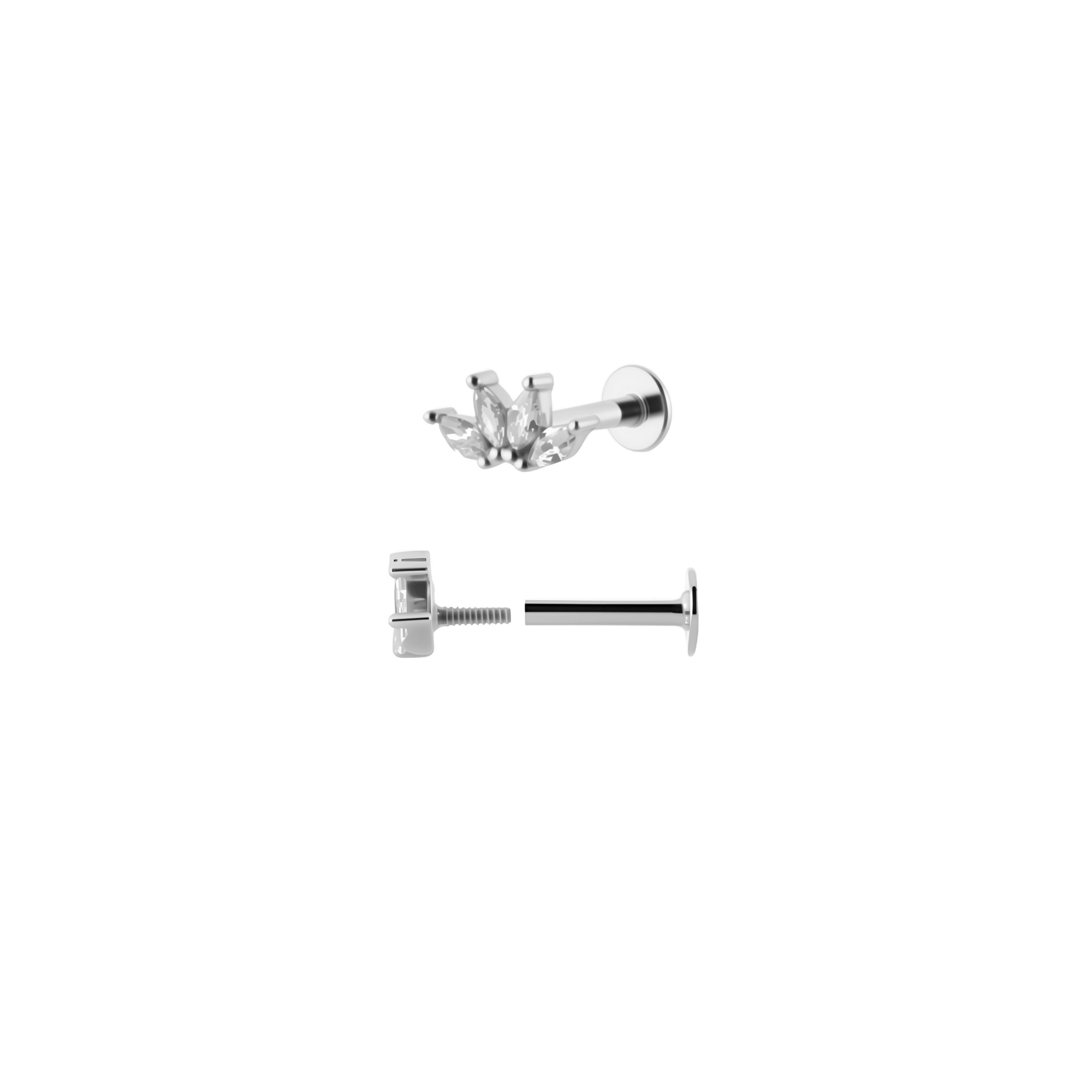 Petra Piercing | VORBESTELLUNG