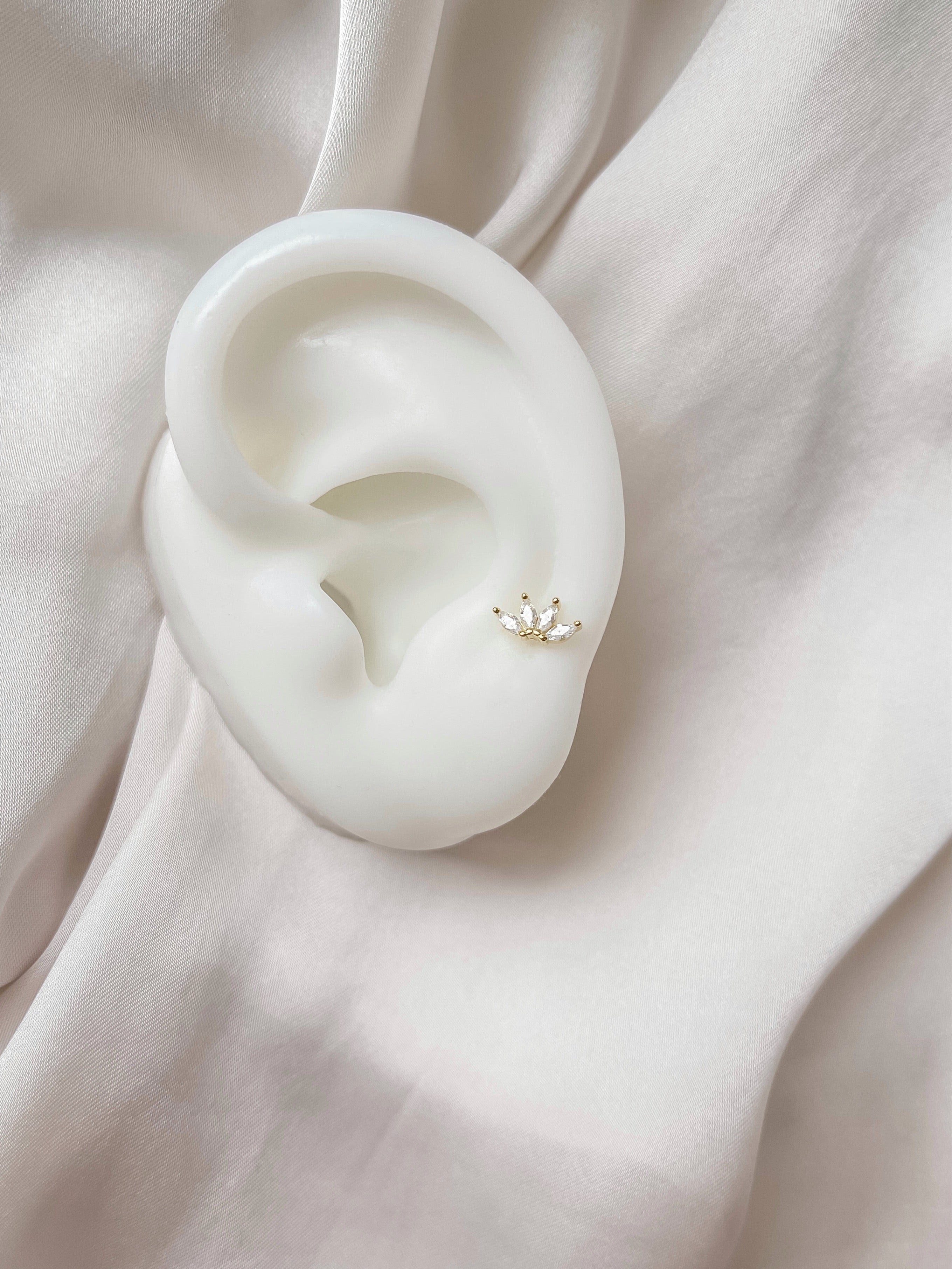 Petra Piercing | VORBESTELLUNG