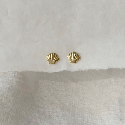 Shell Stud Earring