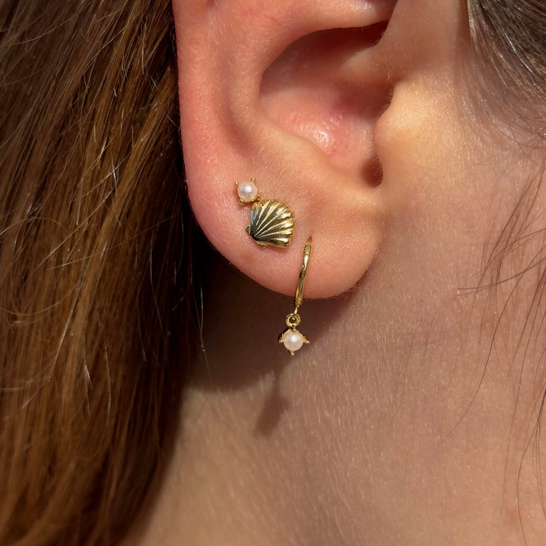 Shell Stud Earring