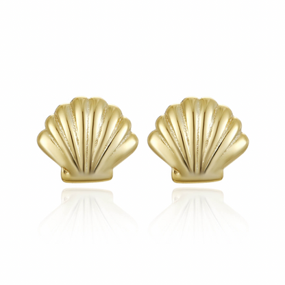 Shell Stud Earring