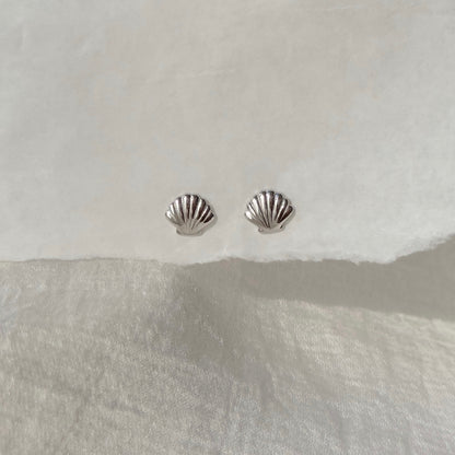 Shell Stud Earring