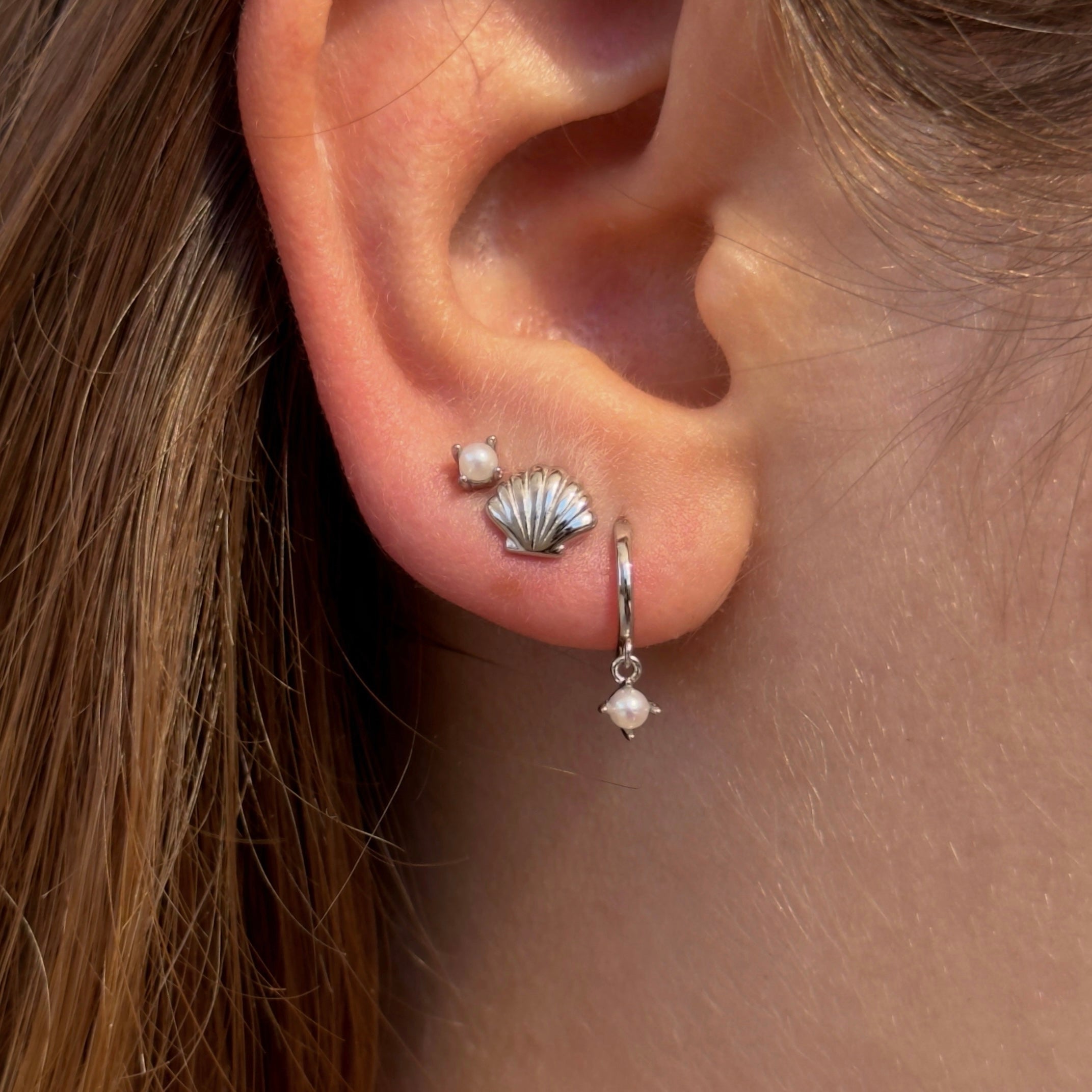 Shell Stud Earring