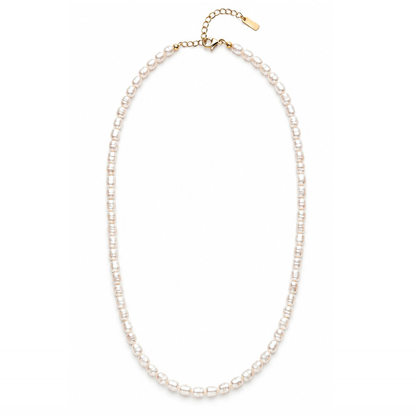 A delicate strand necklace made of small white pearls with a gold clasp and extender chain, shown on a plain white background.